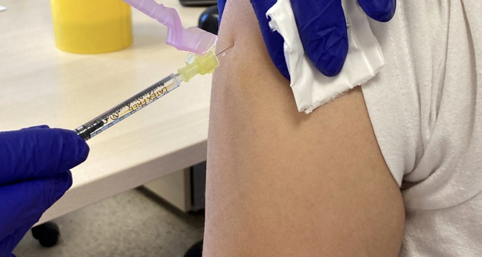 Inmunoterapia subcutánea